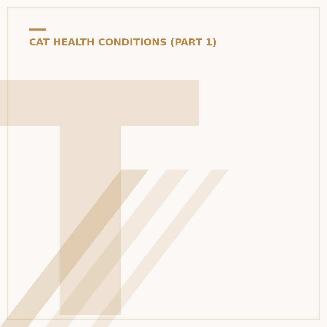 Toxoplasmosis in Cats: Symptoms, Causes & Prevention