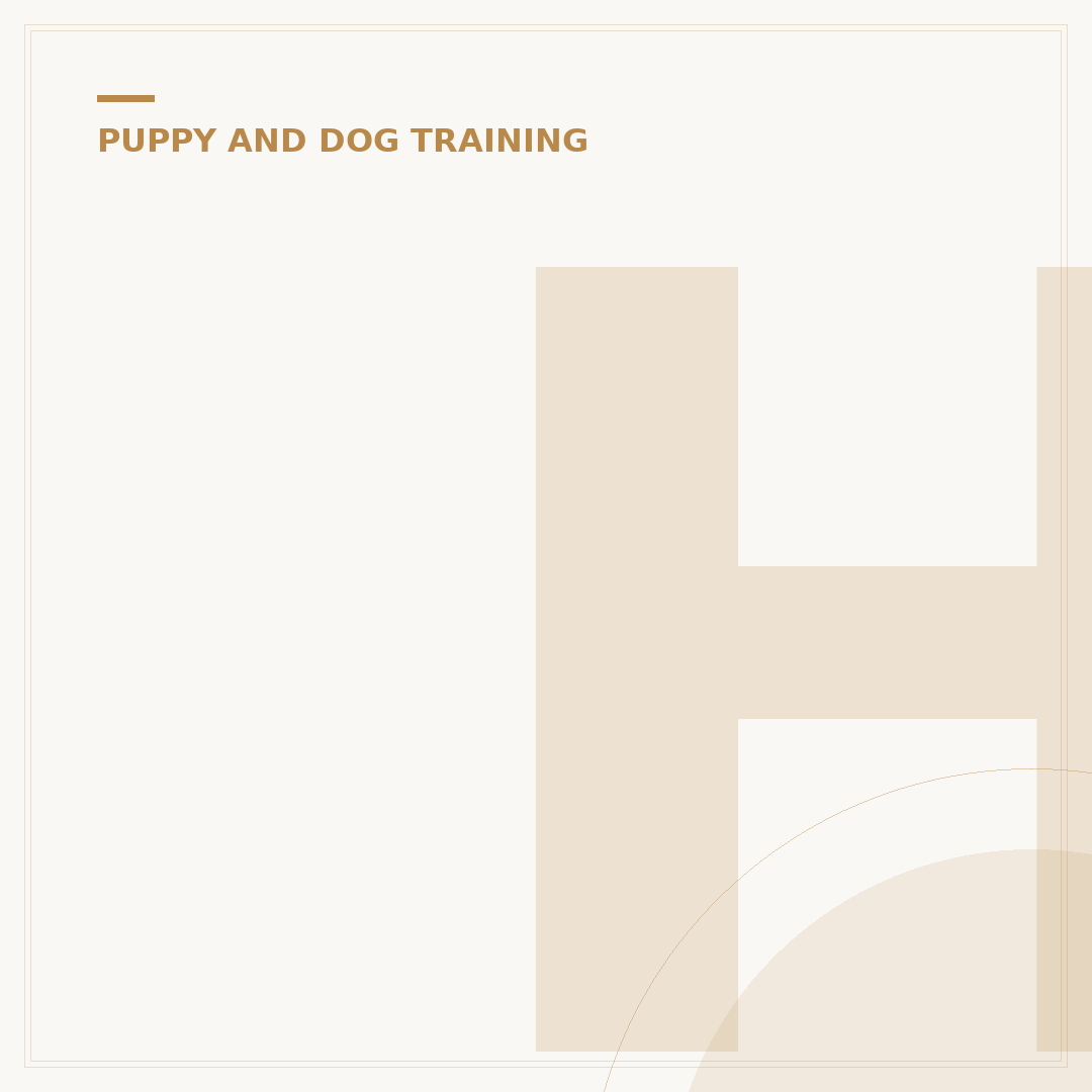 How Do I Train My Dog to Fetch?