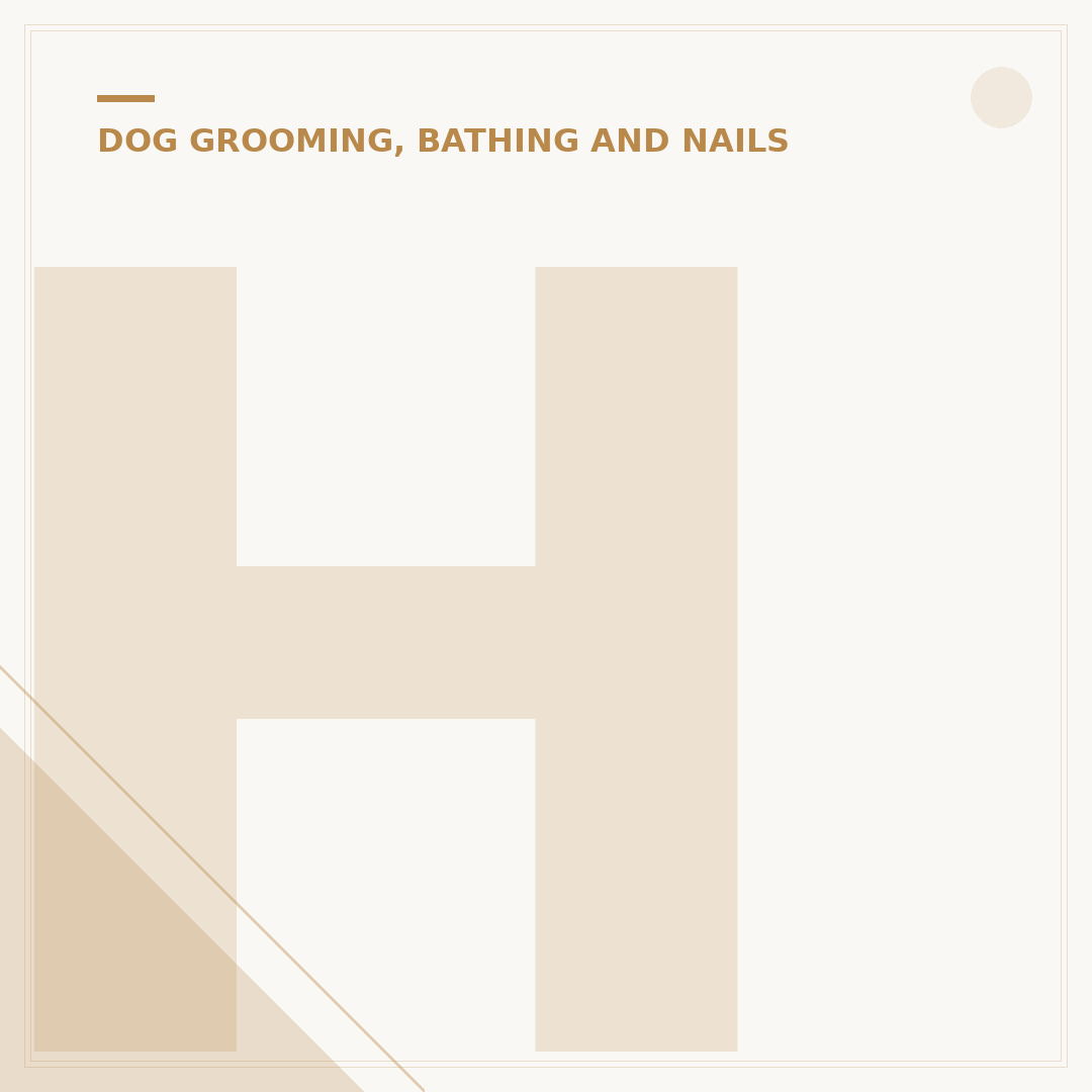 How to Train a Dog to Sit Still for Grooming