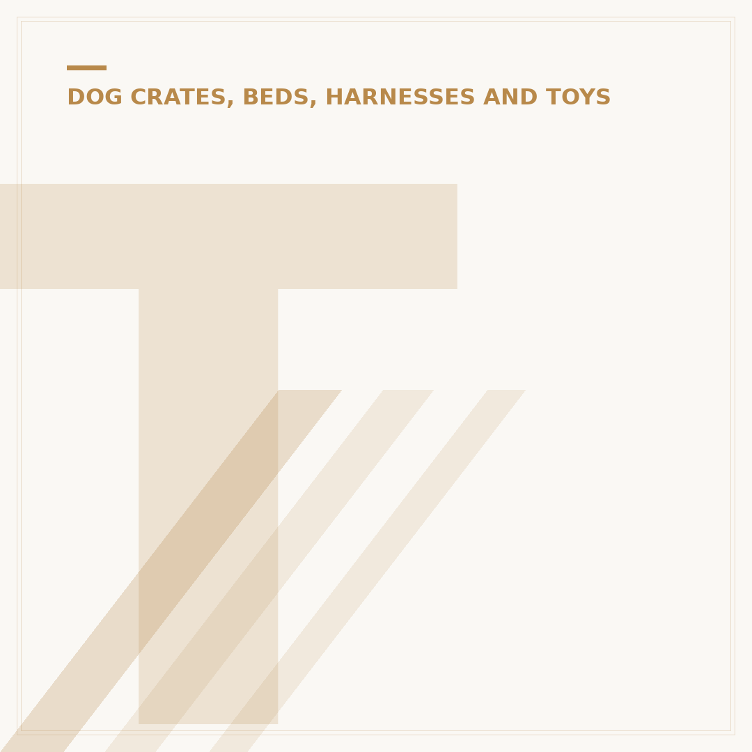 Train Your Puppy to Walk on the Lead Effectively