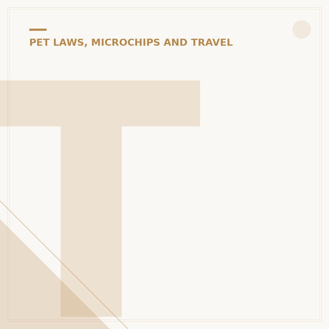 Travel Sickness Tablets for Dogs: What You Need