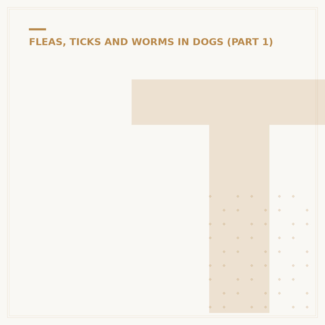 Treat Fleas on Puppies Safely and Effectively