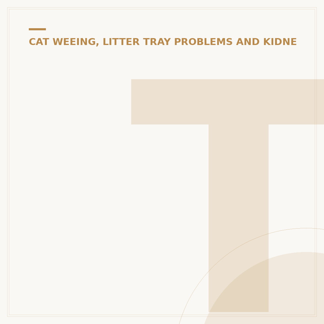 Treating Kidney Disease in Cats: What You Need to Know