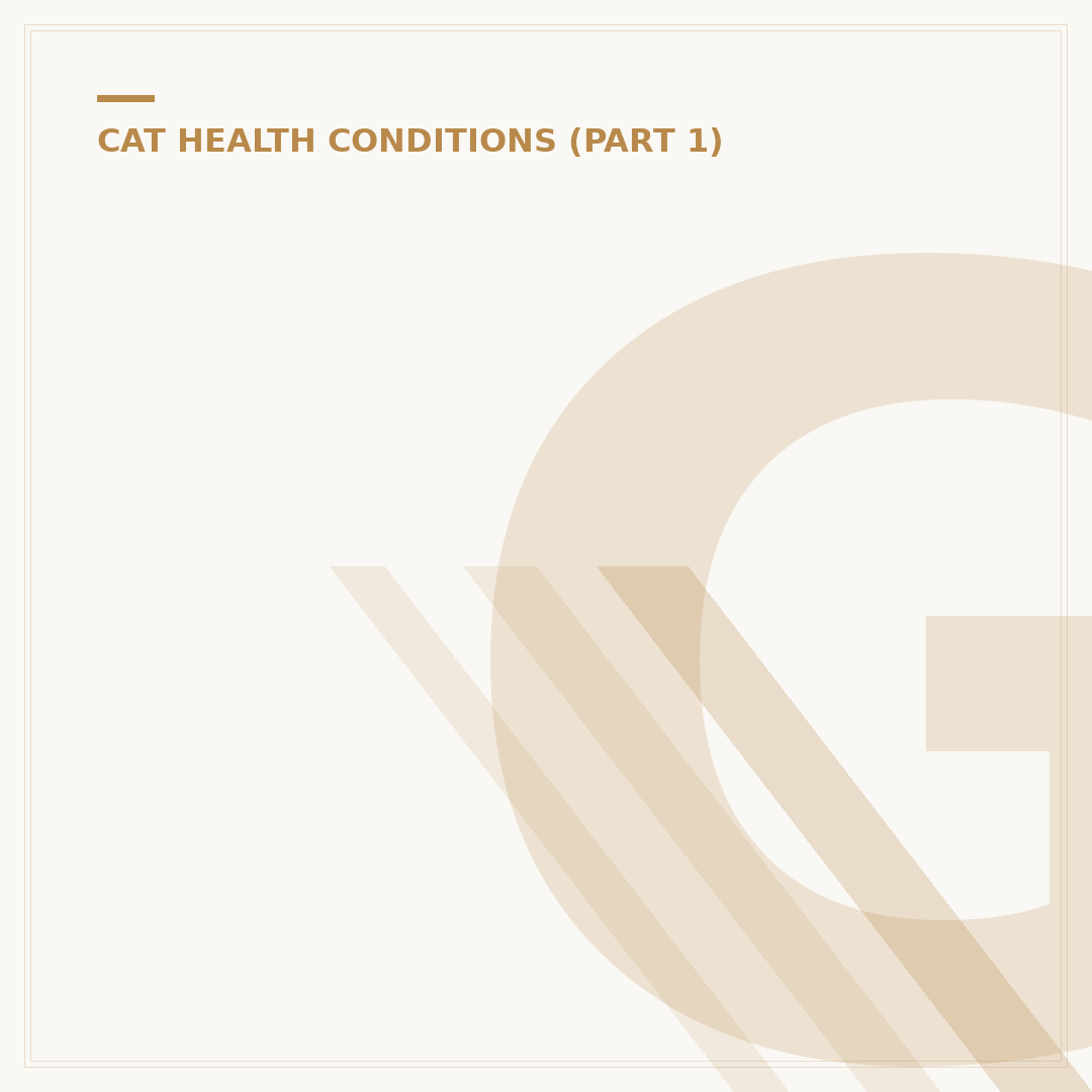 Gingivitis in Cats: Treatment Options & Home Care