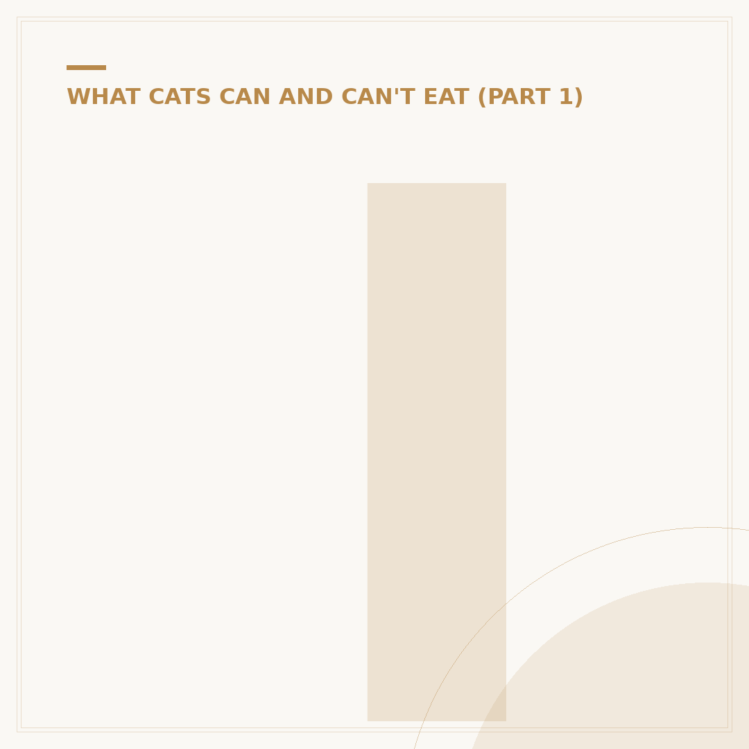 Is Tuna Fish OK For Cats? What You Need To Know
