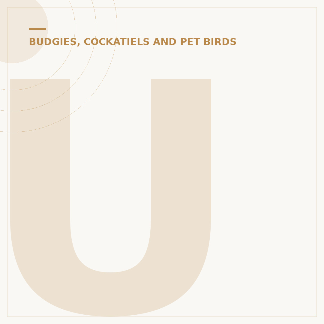 Ubuntu Budgie Explained: Your First Desktop Linux OS