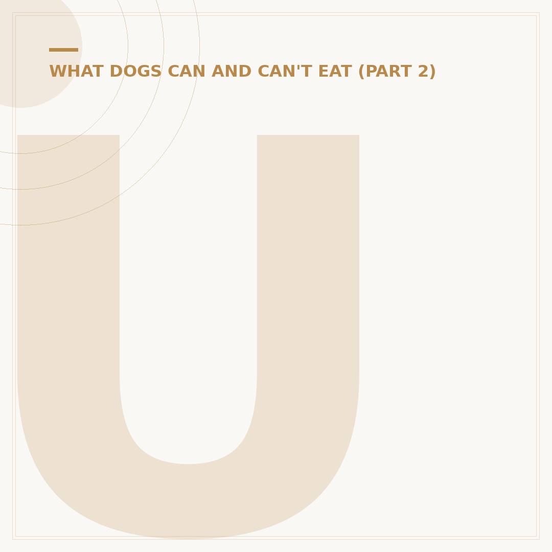 Uncooked Meat for Dogs: Benefits and Safety
