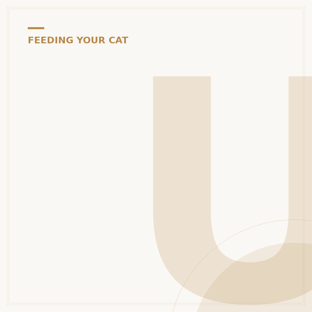 Untamed Kitten Food