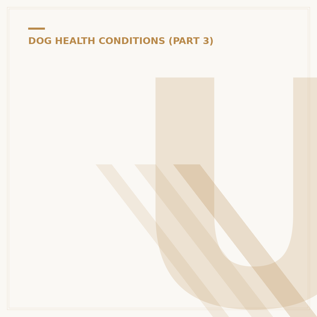 Urethra Infection in Dogs: Signs and Veterinary Care
