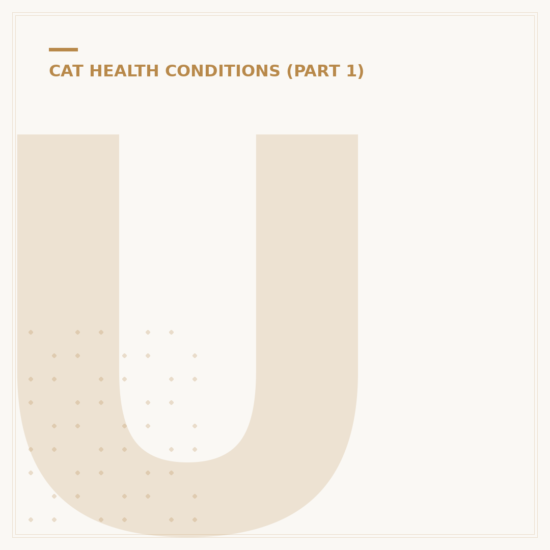 URI Infection in Cats