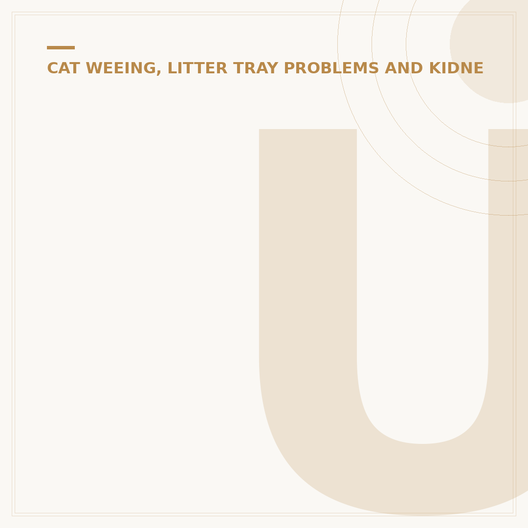 Urinary Blockage in Cats: Recognising the Signs