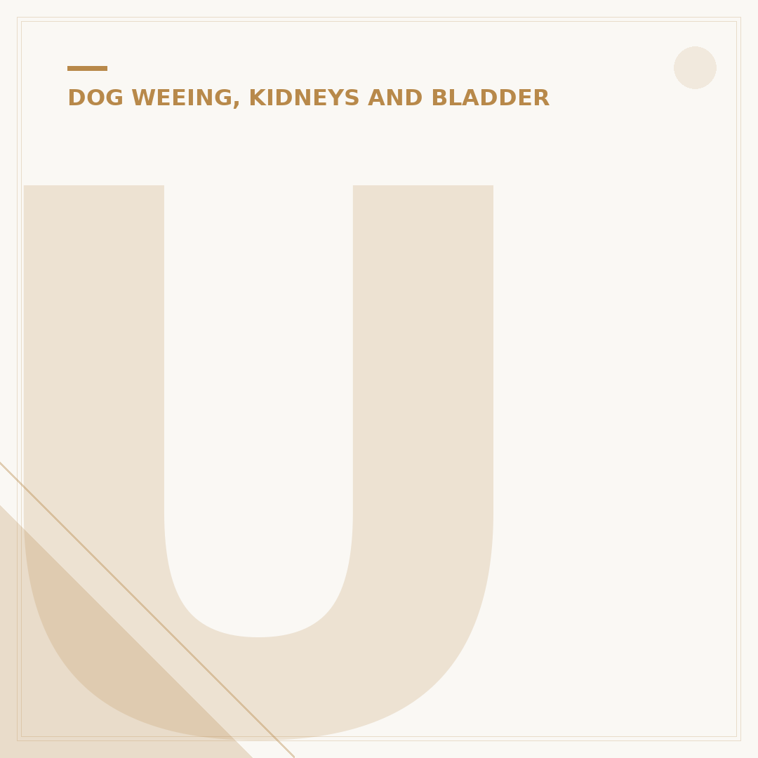 Urinary Cancer in Dogs: Signs and Management