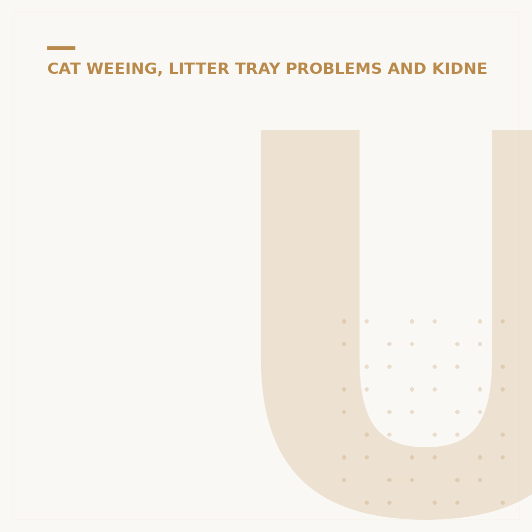 Urinary Cat Food Dry: Support Your Cat's Health