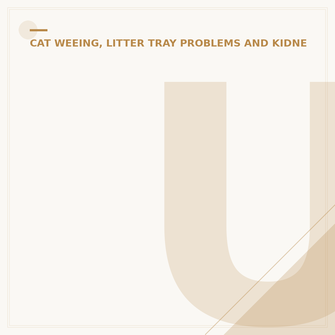 Urinary Tract Blockage in Cats: What to Know