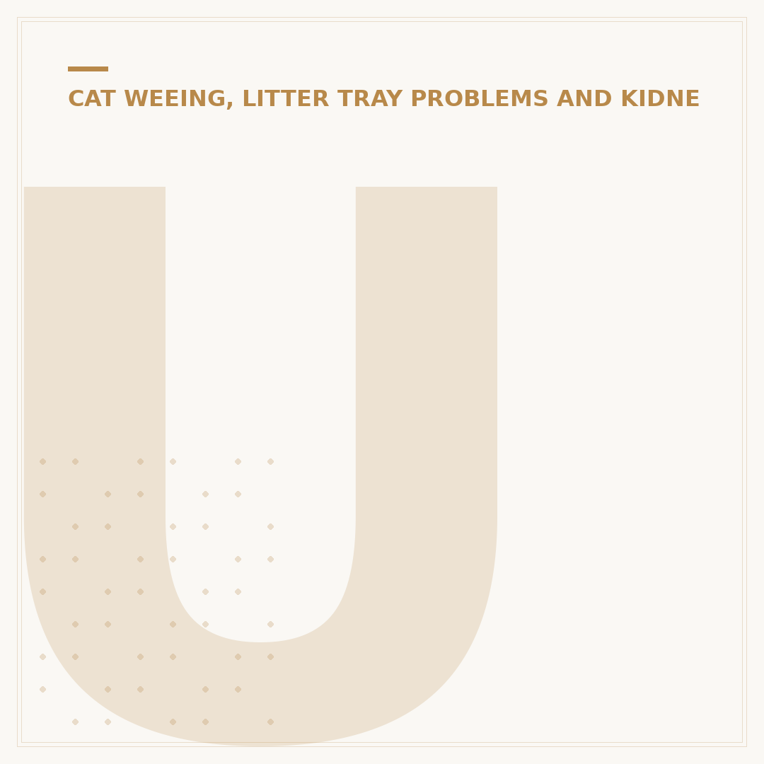 Urinary Tract Diet for Cats: What You Need to Know