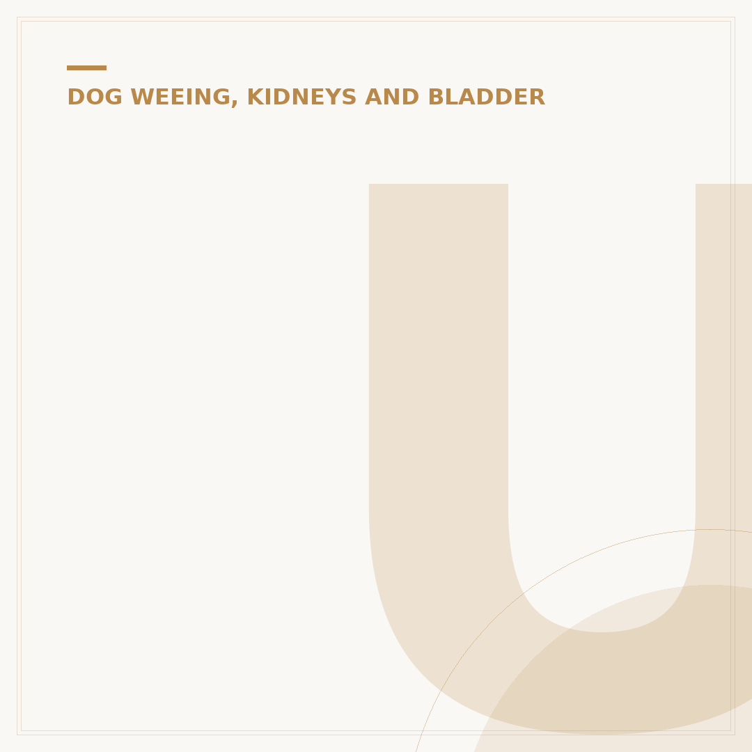 Urinary Tract Diet for Dogs: What to Feed