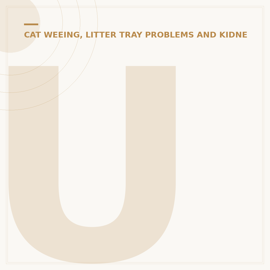 Urinary Tract Infection in Cats: Signs & Care