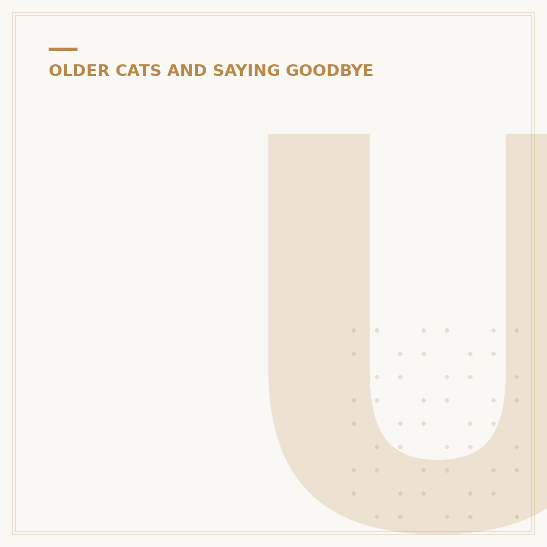 Urns for Ashes for Cats: Choosing a Final Resting Place