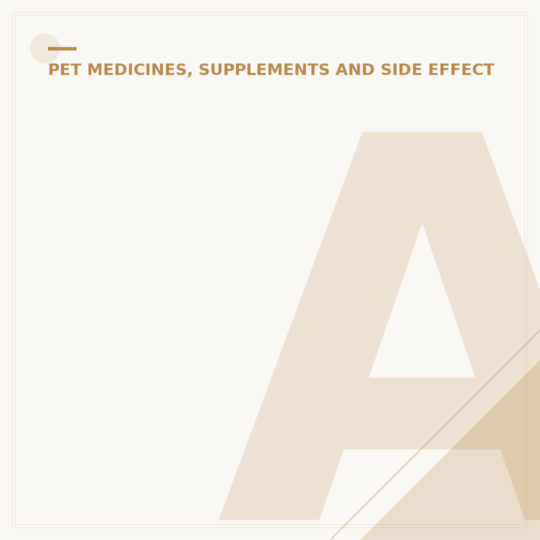 Antibiotics for Urinary Tract Infections in Dogs