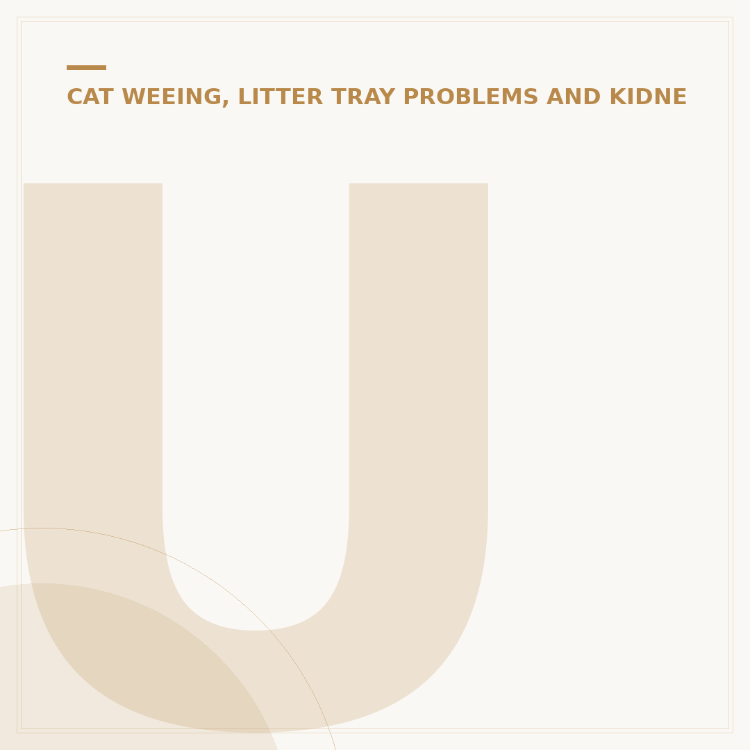 Understanding UTI Meds for Cats