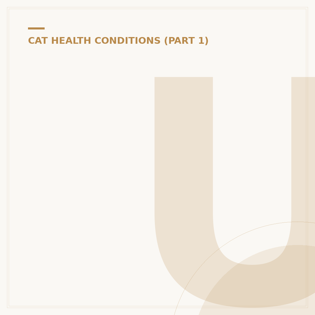 Uveitis in Cats: Causes, Signs, and When to Seek Help