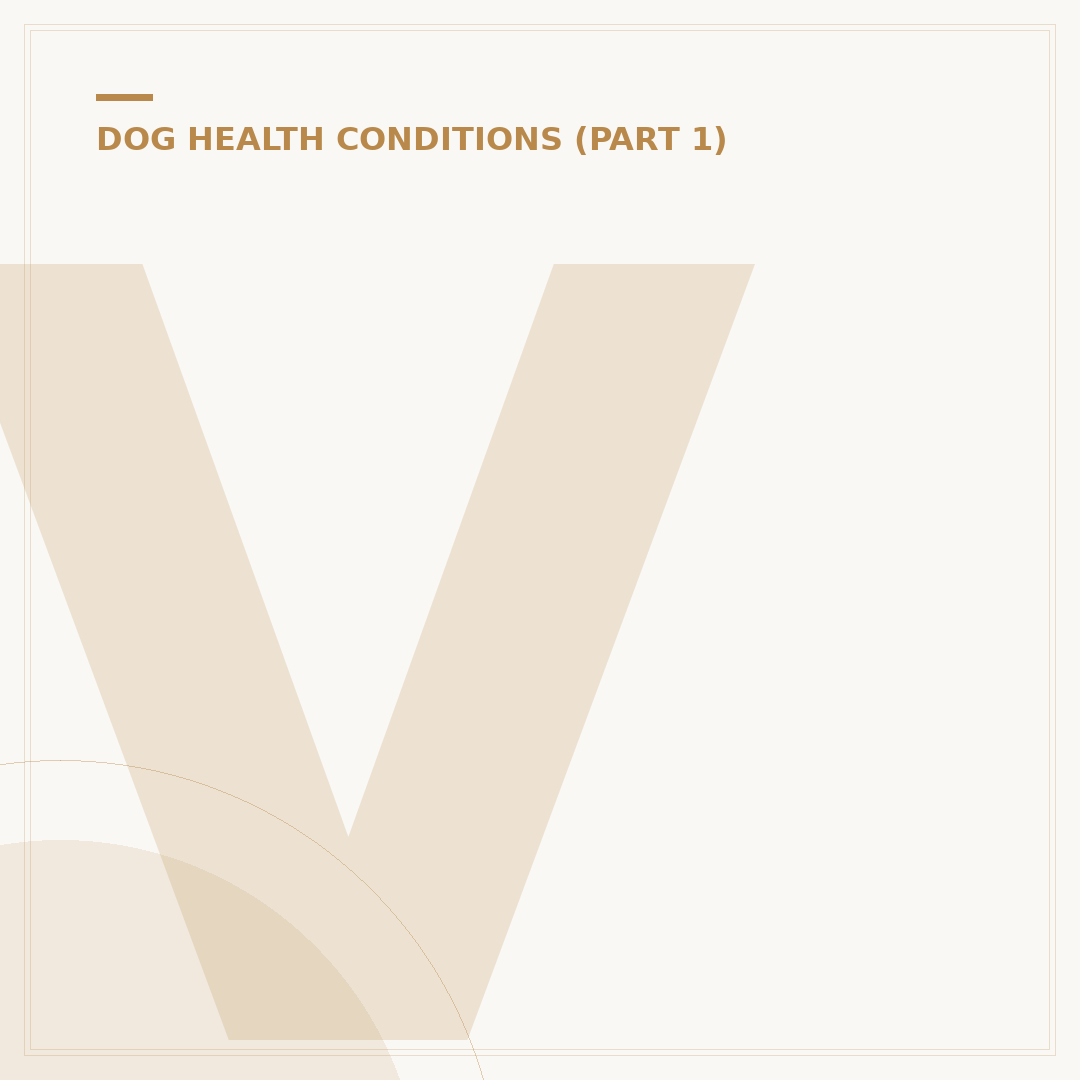 Vaginitis in Dogs: Causes, Symptoms & Treatment