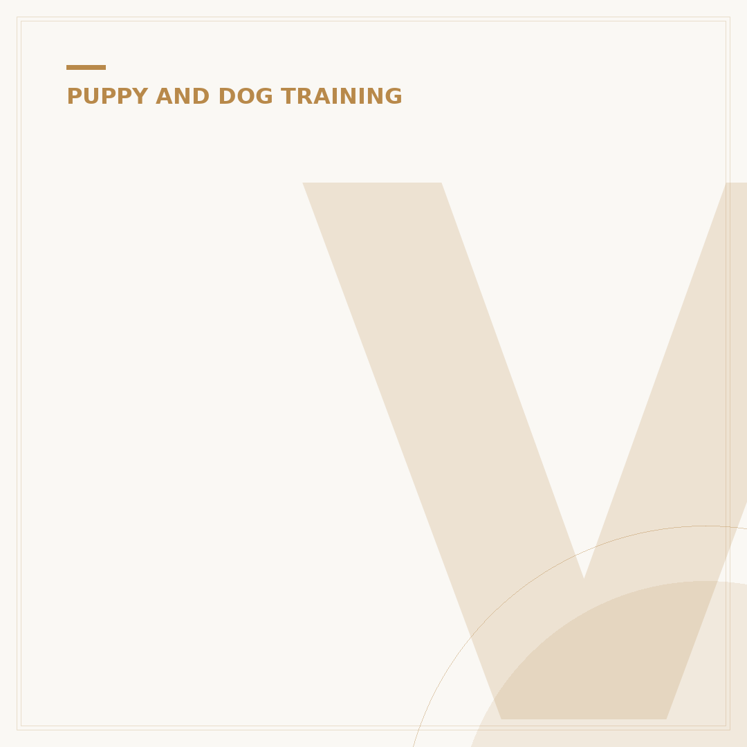Valleys Dog Behaviour and Training Explained