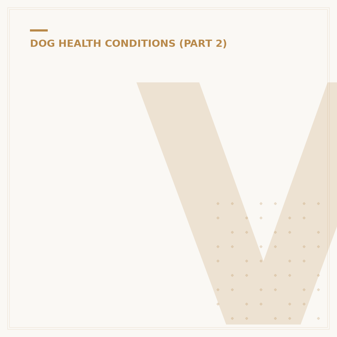 Vestibular Condition in Dogs: Causes and Signs