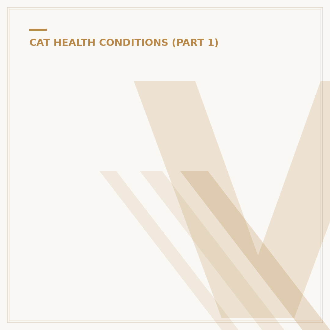Vestibular Disease in Cats: Signs, Causes & Care