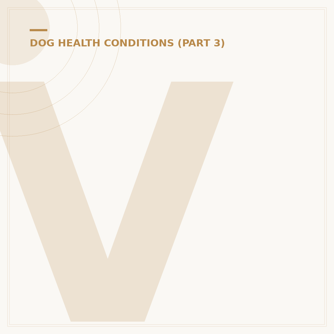 Vestibular Disease in Dogs: Home Treatment & Care