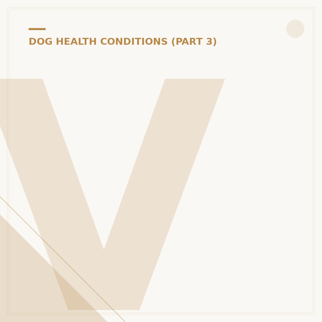 Vestibular Disease in Dogs: Treatment and Management