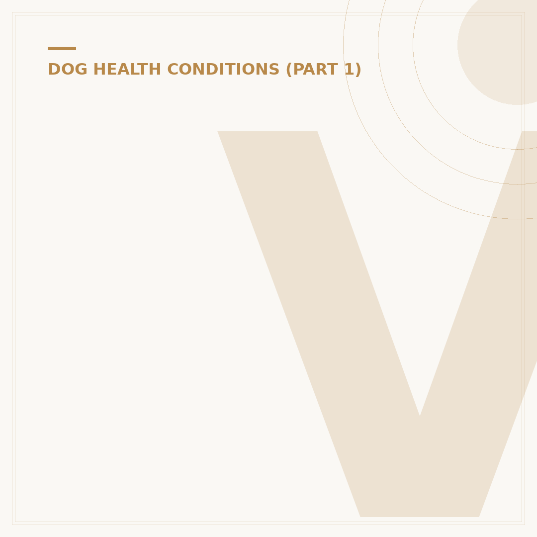 Vestibular Issues in Dogs: Causes, Signs, and Care
