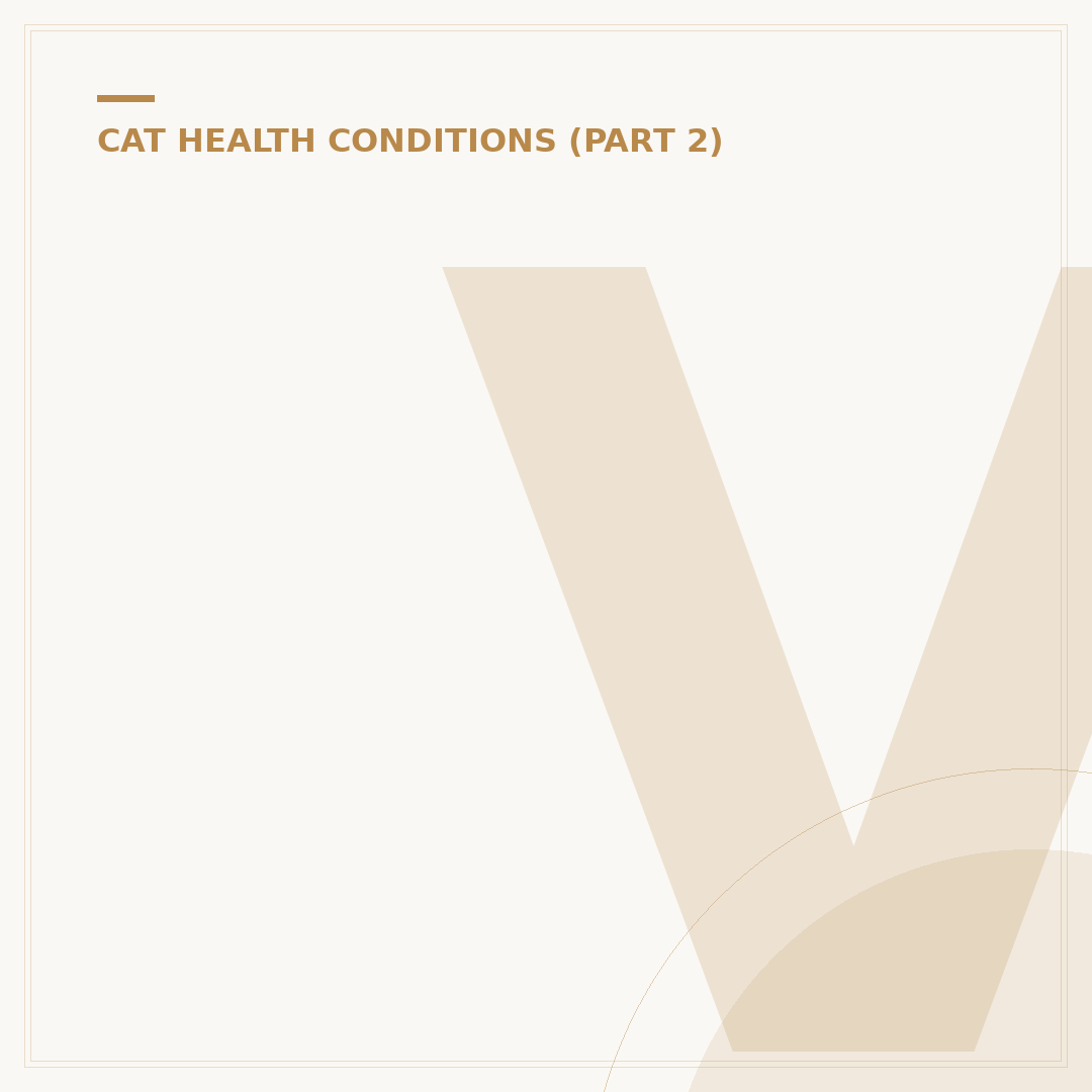 Vestibular Syndrome in Cats: What It Is and How to Help