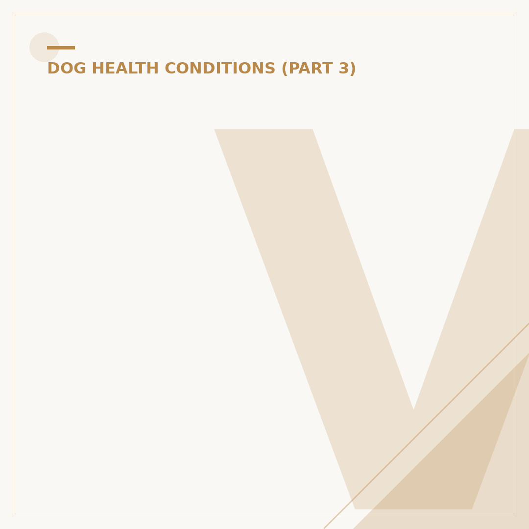 Vestibular Syndrome in Dogs: Treatment and Management