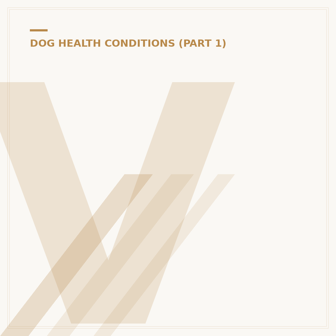 Vestibular Syndrome in Dogs: What It Is & How to Help