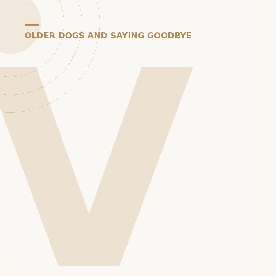 Vestibular Syndrome in Old Dogs: Signs & Care