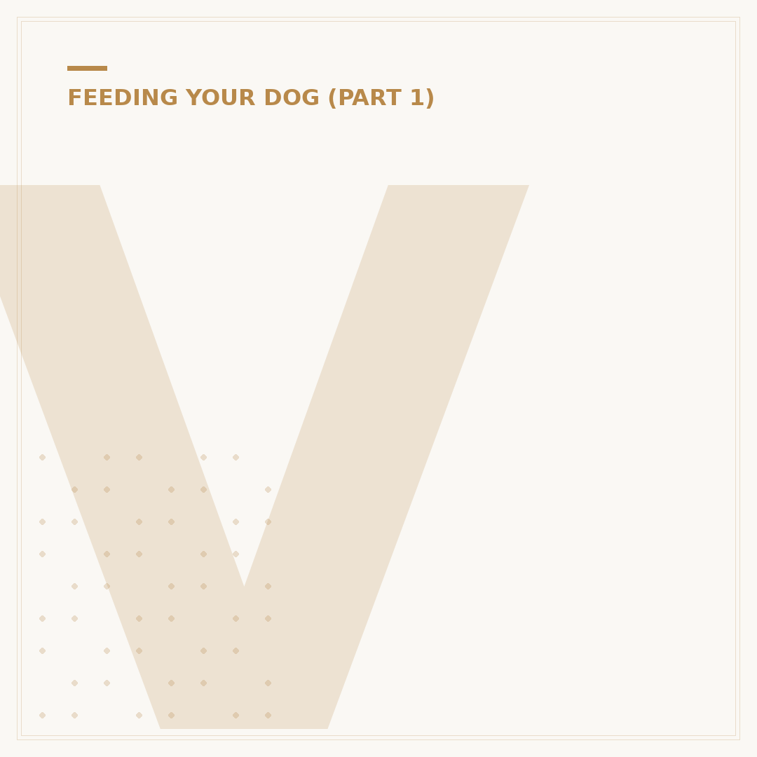 Vet Approved Homemade Dog Food Recipes