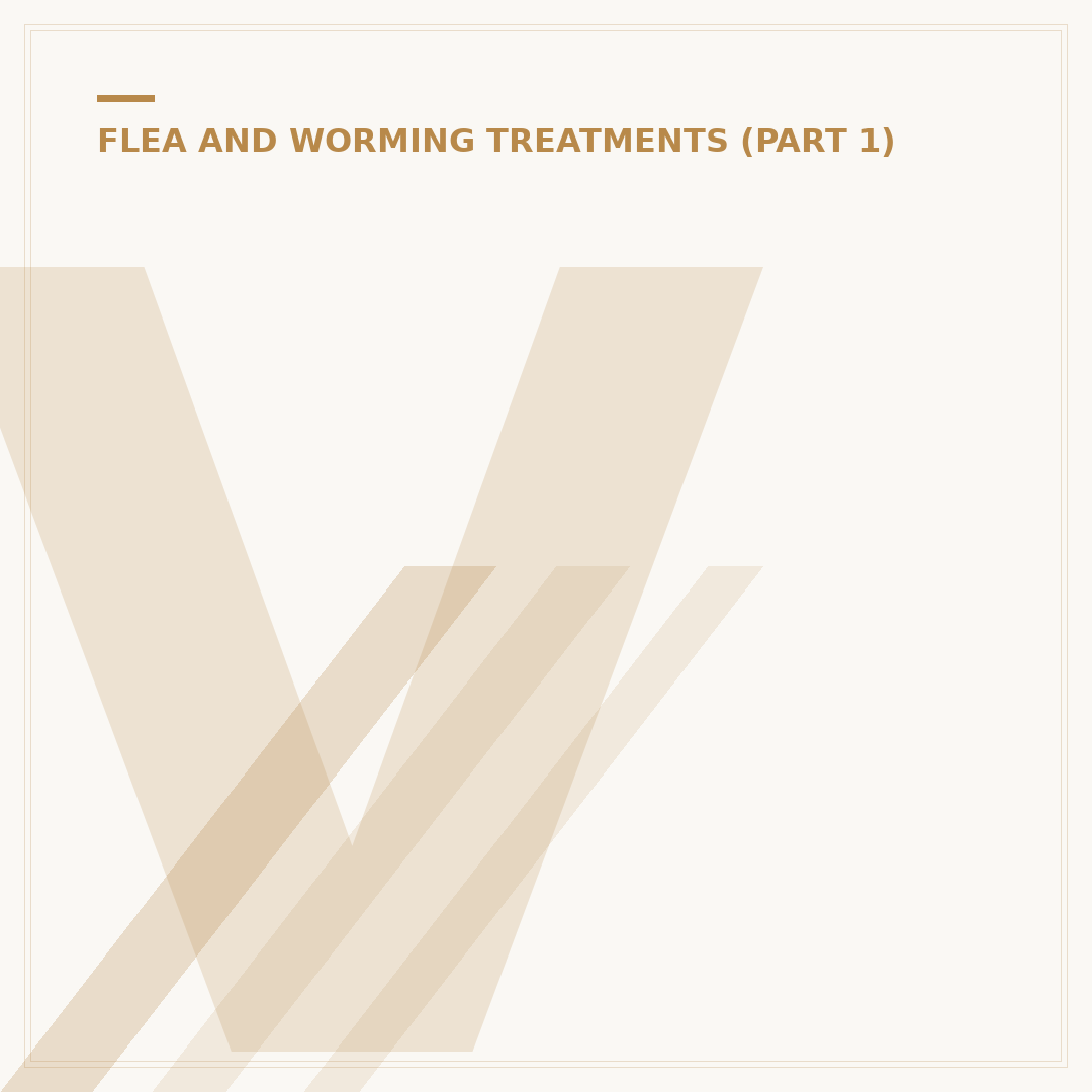 Vet Flea Treatment for Cats: What You Need