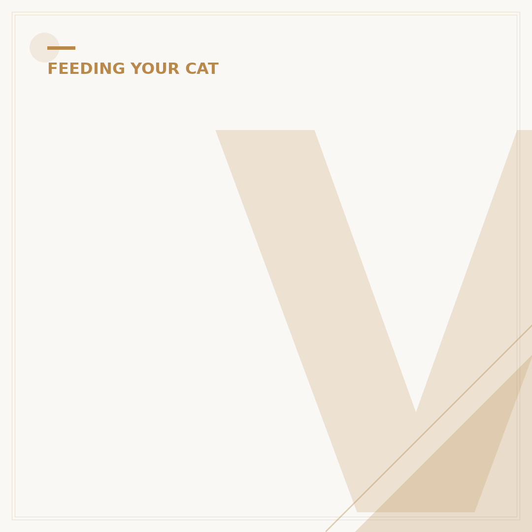 Vet Recommended Wet Cat Food UK: What to Look For