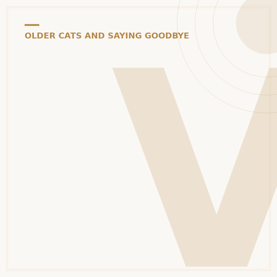 Vet Recommended Senior Cat Food: Key Choices