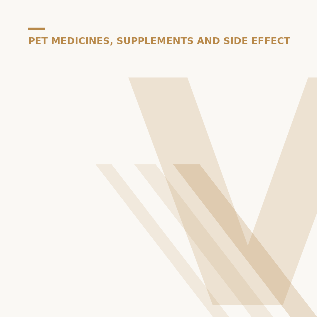 Vetmedin Side Effects in Dogs: What Owners Need to Know