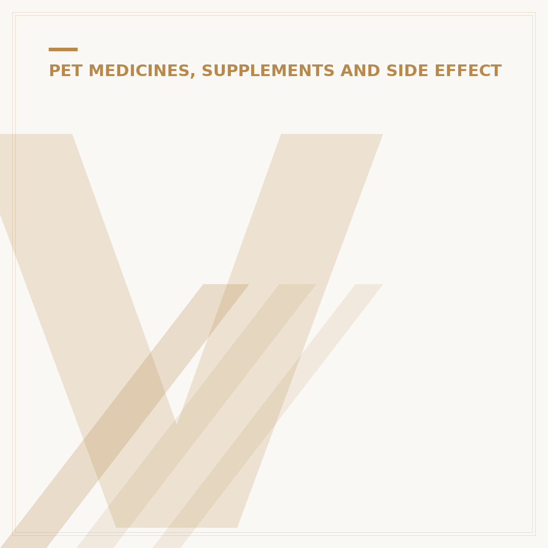 Vitamins for Dogs: What Your Canine Needs