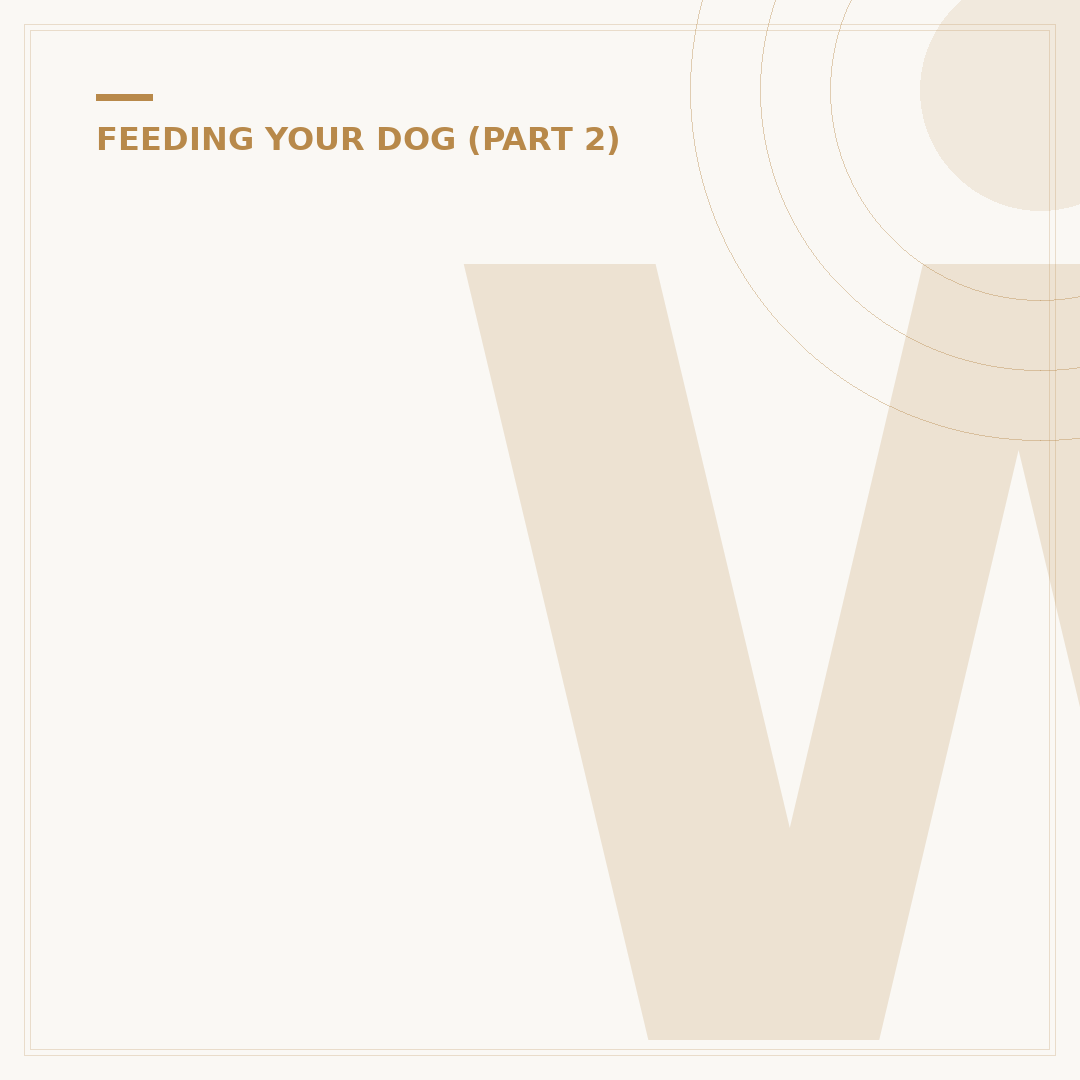 W'zis Dog Treats: Finding the Right Options