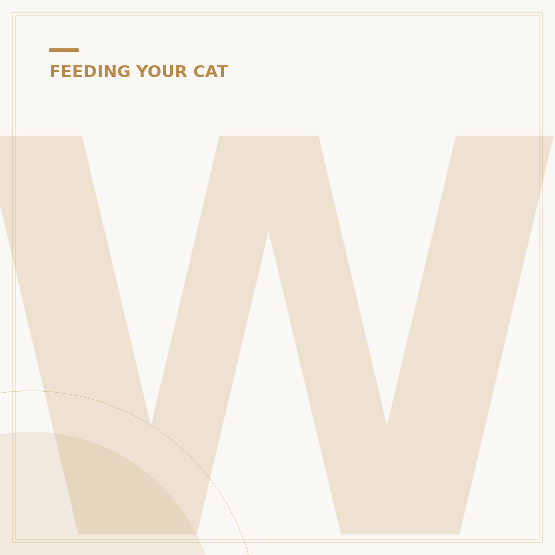 Webbox Cat Treats