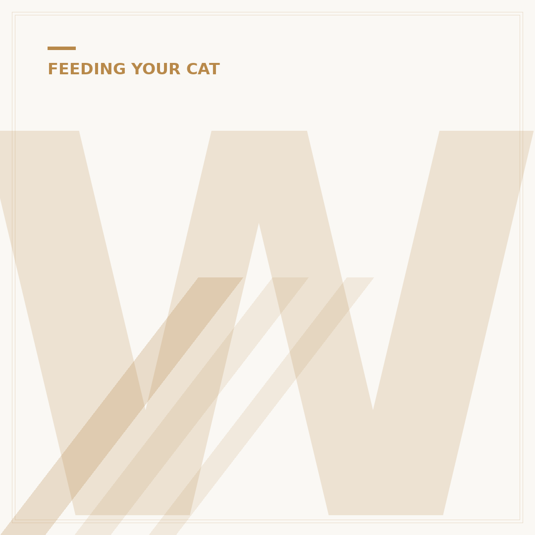 Wellness CORE Kitten Food: Nutrition for Growth