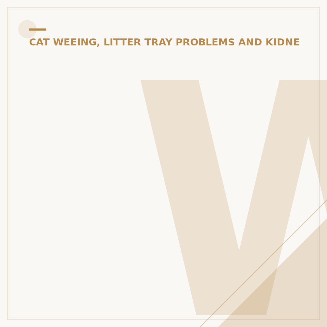 Wet Renal Cat Food: Supporting Kidney Health