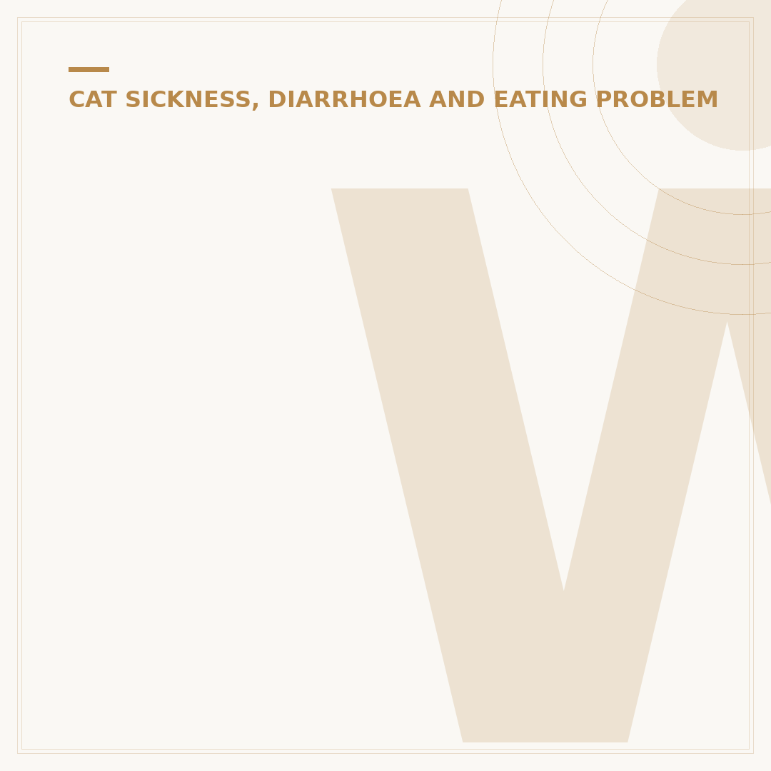 What to Give a Constipated Cat: Safe Remedies