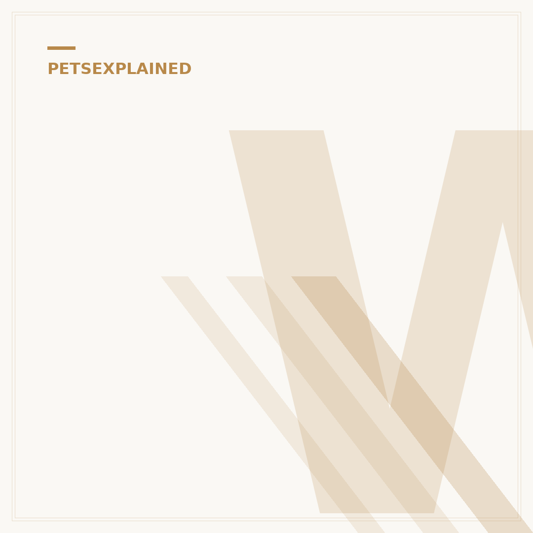 What is Metacam for Cats? Uses and Safety