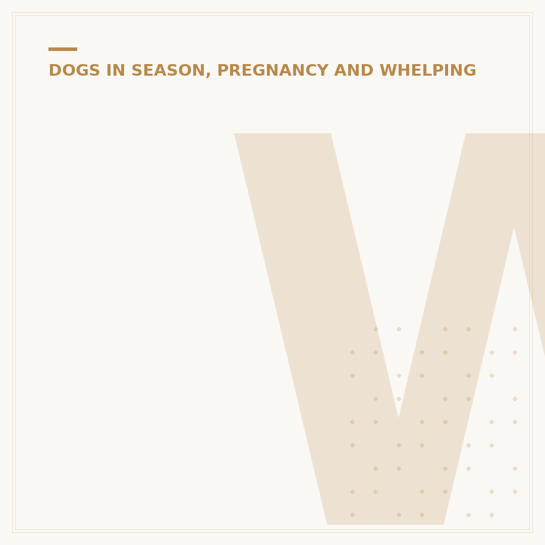 Whelping Box for Large Dogs: Key Considerations