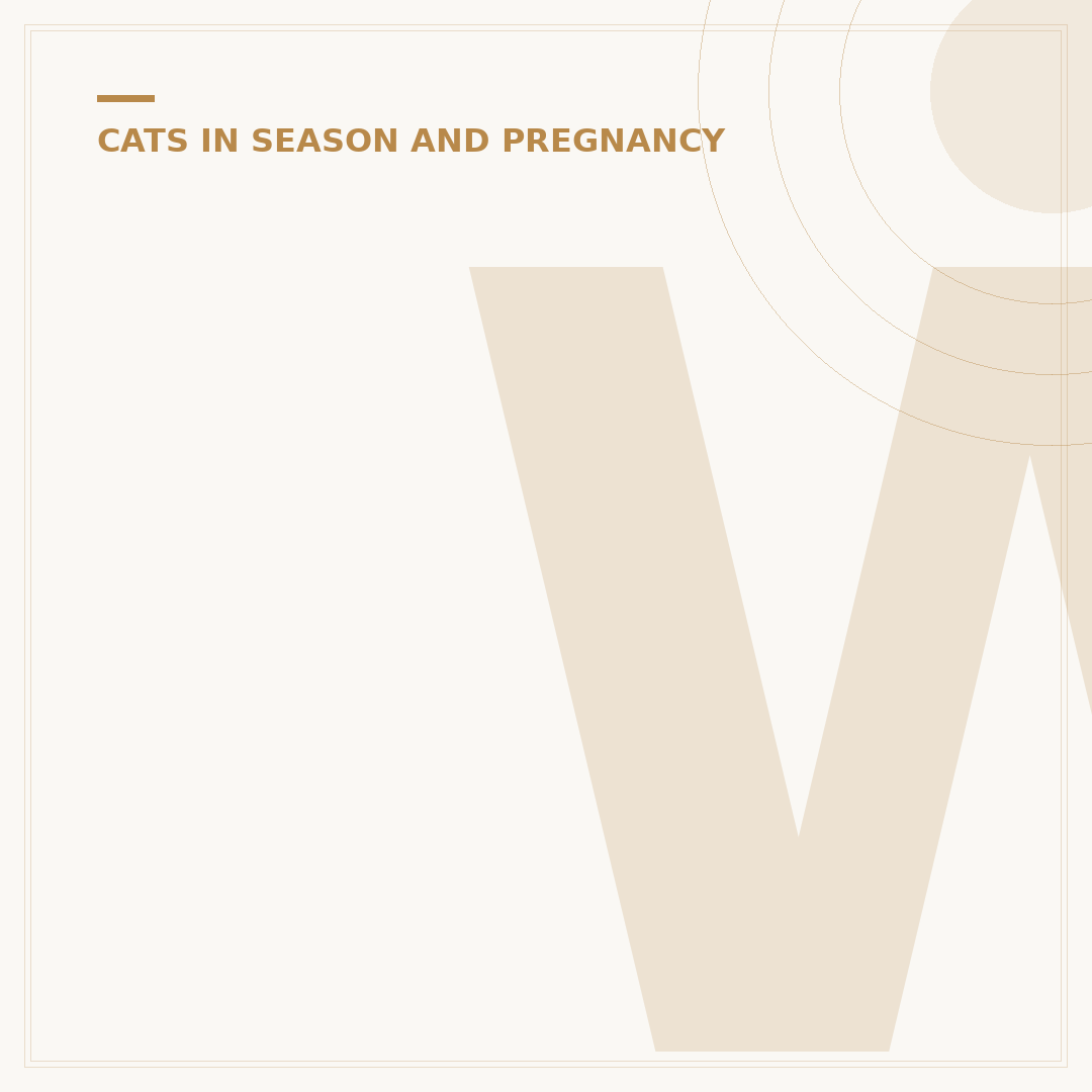 When Are Kittens in Season?